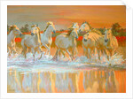 Camargue by William Ireland