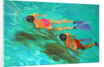 Snorkellers by William Ireland
