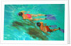 Snorkellers by William Ireland