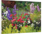 Cottage Garden, 2007/8 by William Ireland