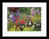 Cottage Garden, 2007/8 by William Ireland