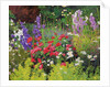 Cottage Garden, 2007/8 by William Ireland