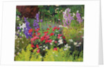 Cottage Garden, 2007/8 by William Ireland