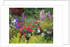 Cottage Garden, 2007/8 by William Ireland