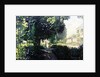 Monet's Garden by William Ireland