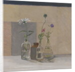 Red White Blue Seed Pods, 2008 by William Packer