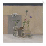 Red White Blue Seed Pods, 2008 by William Packer