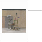 Red White Blue Seed Pods, 2008 by William Packer