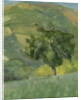Tree on Hill, 2013 by William Packer