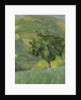 Tree on Hill, 2013 by William Packer