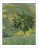 Tree on Hill, 2013 by William Packer