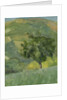 Tree on Hill, 2013 by William Packer