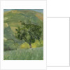 Tree on Hill, 2013 by William Packer