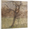 Apple Tree, 1963 by William Packer