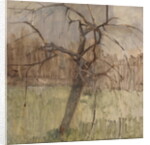 Apple Tree, 1963 by William Packer