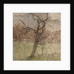 Apple Tree, 1963 by William Packer