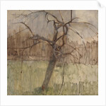 Apple Tree, 1963 by William Packer
