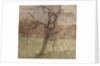 Apple Tree, 1963 by William Packer