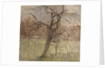 Apple Tree, 1963 by William Packer