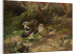 In Happy Woodland by Charles Henry Clifford (attr. to) Baldwyn