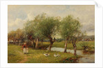 Feeding the Geese by David Bates