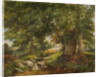 A Trout Stream near Worcester, 1866 by Henry Chaplin