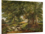 A Trout Stream near Worcester, 1866 by Henry Chaplin