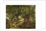 A Trout Stream near Worcester, 1866 by Henry Chaplin