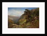 On the Hills above Betws-y-Coed, Wales by Benjamin Williams Leader