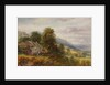 Bryngoleu Llanfairfechan, 1878 by Henry Harris Lines