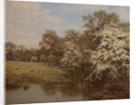 Hawthorn Blossom by Edward Wilkins Waite