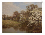 Hawthorn Blossom by Edward Wilkins Waite