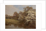 Hawthorn Blossom by Edward Wilkins Waite