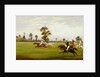 Polo, 1893 by Henry Frederick Lucas-Lucas