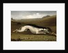 Hare Coursing in a Landscape, 1870 by John Marshall