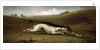 Hare Coursing in a Landscape, 1870 by John Marshall