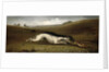 Hare Coursing in a Landscape, 1870 by John Marshall