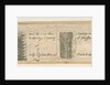 Abbots Bromley: engraved strips of sections of fossil stones, nd. [?19th cent] by Anonymous Anonymous