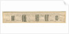 Abbots Bromley: engraved strips of sections of fossil stones, nd. [?19th cent] by Anonymous Anonymous