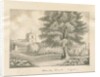 Aldridge Church: pen and wash drawing, nd [19th cent] by John Robert Fernyhough