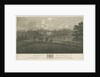 Beaudesert Hall and Park: steel engraving, nd [1762-1802] by Stebbing Shaw