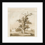 Eccleshall - Baden Old Hall by Thomas Peploe Wood