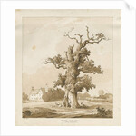 Eccleshall - Baden Old Hall by Thomas Peploe Wood