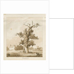 Eccleshall - Baden Old Hall by Thomas Peploe Wood