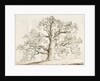 Blithfield - Squitch Oak : pen and wash, 1837 by Thomas Peploe Wood