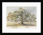 Blithfield - Beggar's Oak by Henry James Noyes