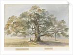 Blithfield - Beggar's Oak by Henry James Noyes