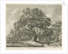 Blithfield - Wych Elm by Jacob George Strutt