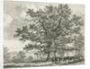 Blithfield - Squitch-bank Oak : etching, 1824 by School English