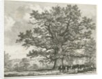 Blithfield - Squitch-bank Oak : etching, 1824 by School English